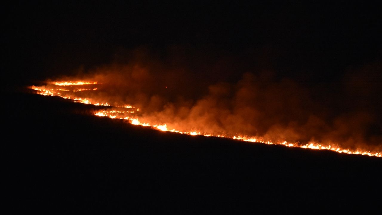 HAKKARİ - Yüksekova Nehil Sazlığı'ndaki yangın sürüyor