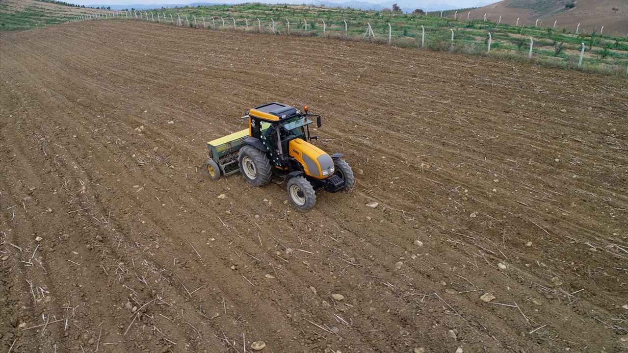 HATAY - Çukurova ve Amik Ovası'nda buğday tohumları toprakla buluşuyor (2)